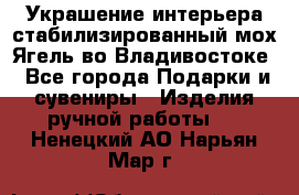 Украшение интерьера стабилизированный мох Ягель во Владивостоке - Все города Подарки и сувениры » Изделия ручной работы   . Ненецкий АО,Нарьян-Мар г.